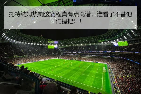 托特纳姆热刺这赛程真有点离谱，谁看了不替他们捏把汗！