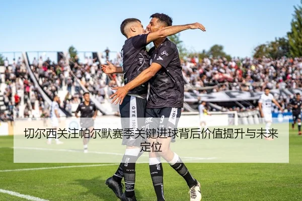切尔西关注帕尔默赛季关键进球背后价值提升与未来定位